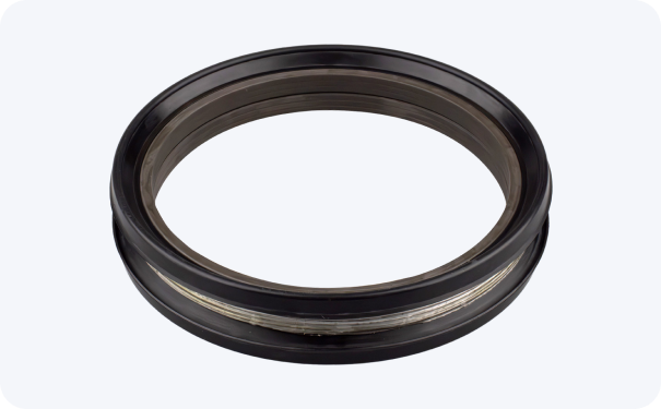 DF-TYPE Seal Assembly
